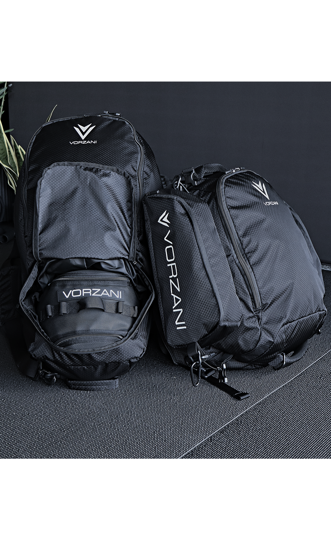 Backpacks and Travel Gear