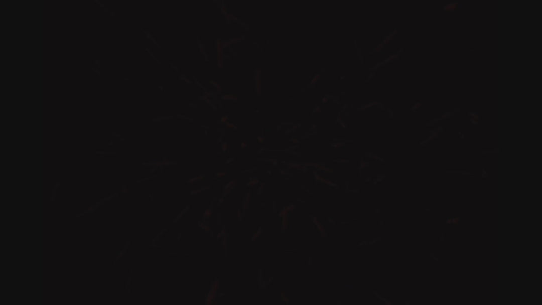 VSEM Voodoo Fitness Sphere (Regular) - Pre-Order Now